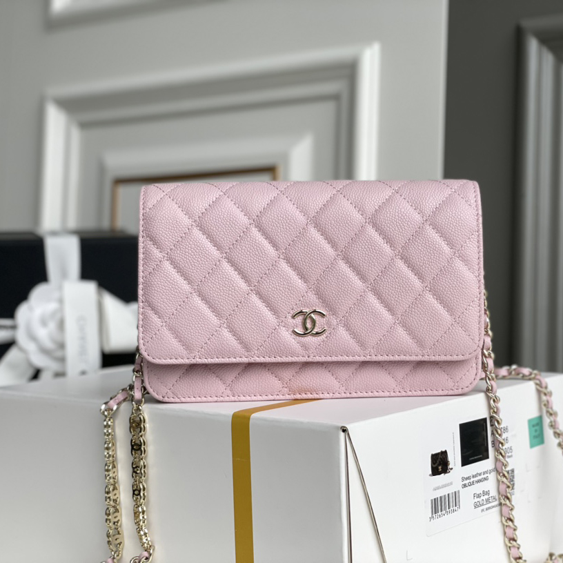 Chanel WOC Bags